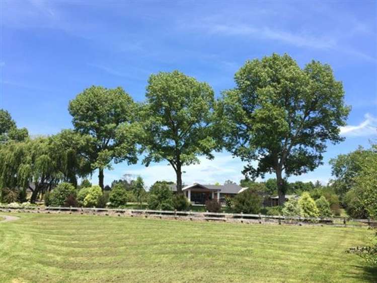 12 Tanaka Drive Tamahere_35