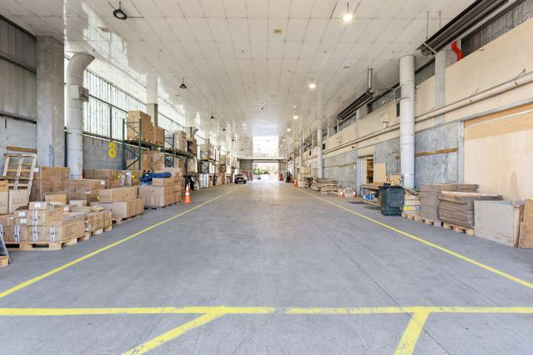 9 Matthews Avenue Takaro_8