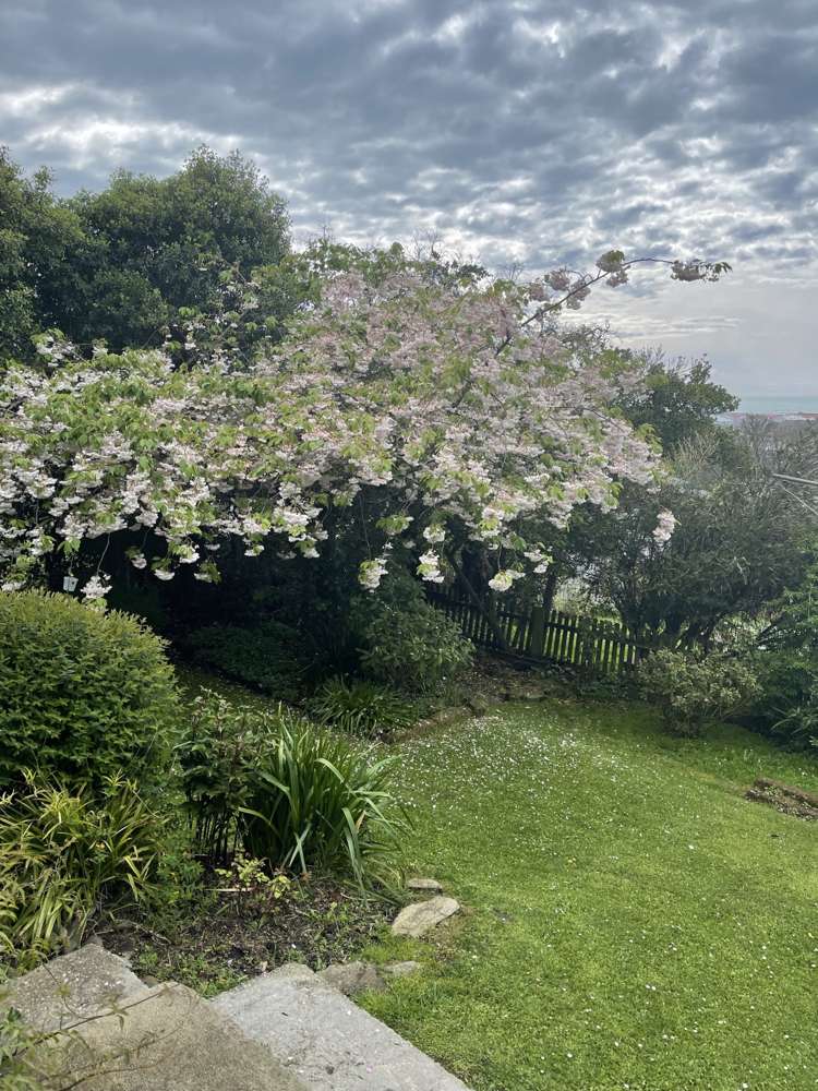 5 Tay Street Oamaru_21