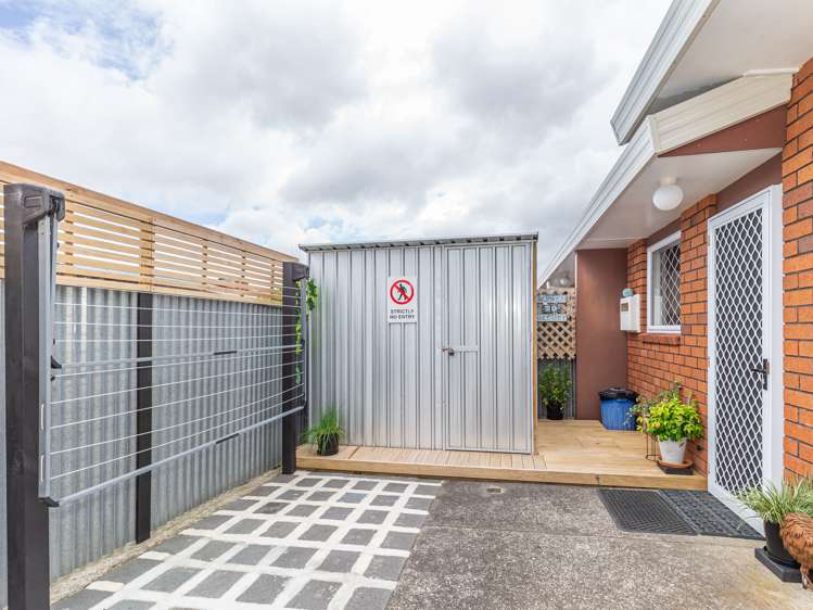 25b Trafalgar Street Levin_13