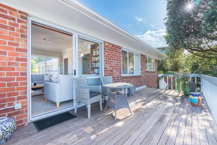 65a Frederick Street Hillsborough_6