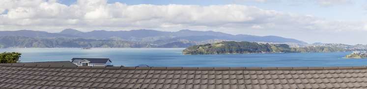 12 Whitu Street Khandallah_2