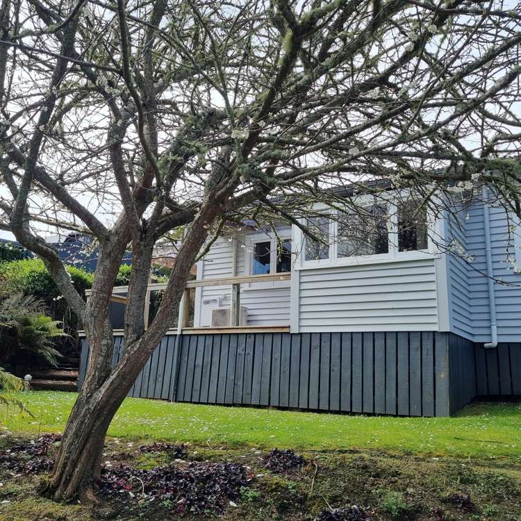 1411 Rotowaro Road_0