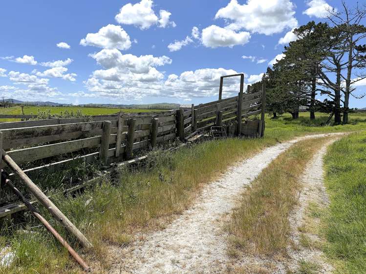 194 Whakatu Road Ruawai_20