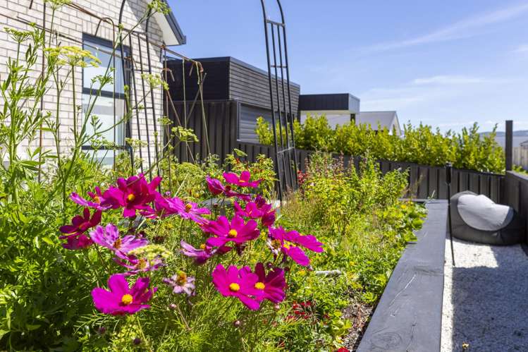 107 Harakeke Drive Wharewaka_32