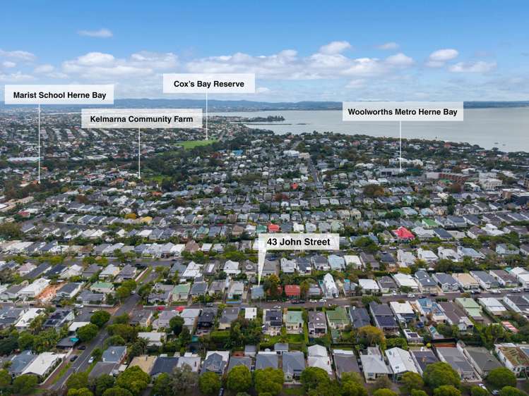 43 John Street Ponsonby_18