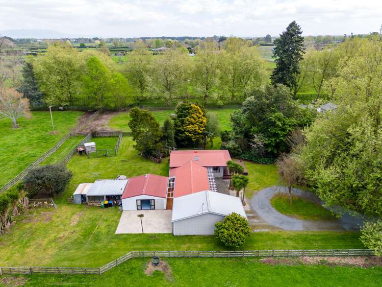 1212 Kaipaki Road Cambridge_31