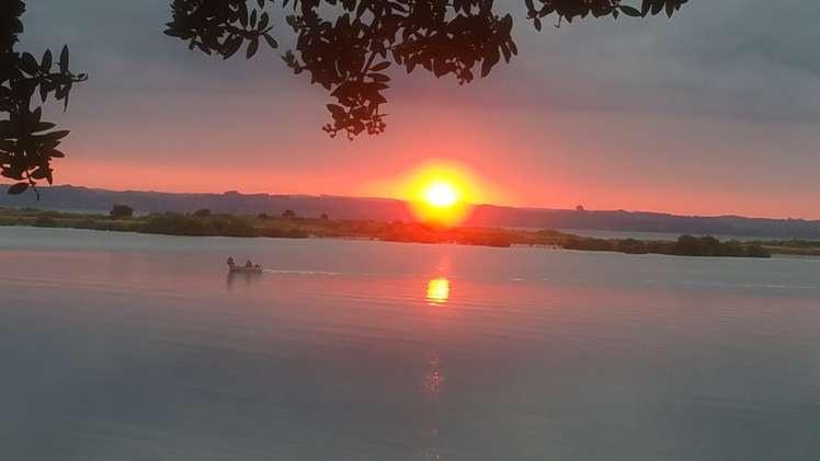 7 Birds Beach Road Tapora_2