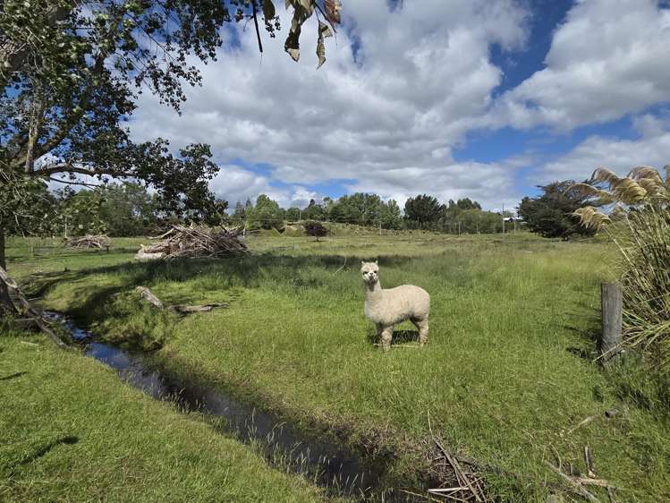 Grindon Street, RD3 Lawrence_7