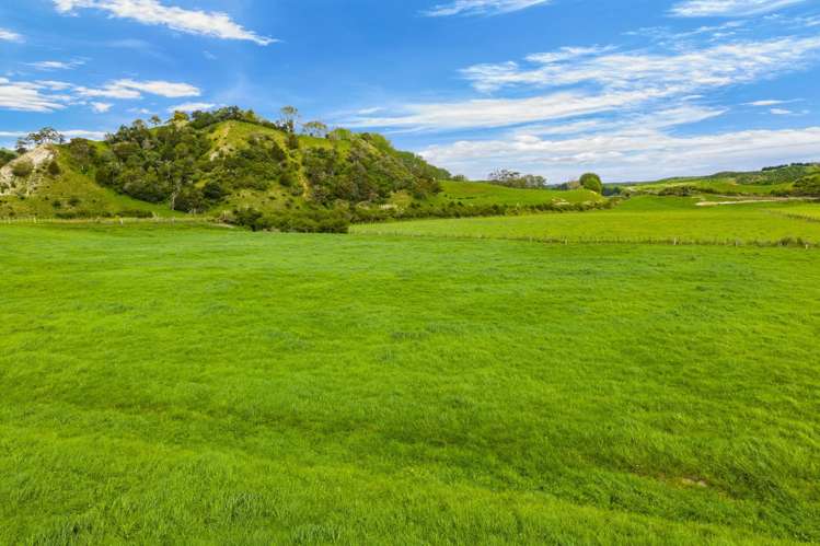 Omana Road Tangiteroria_18