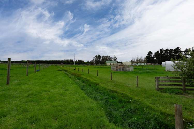 78 East Road Ascot_31