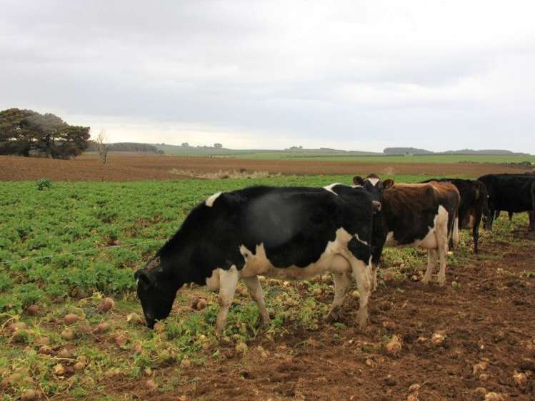 67 Pahia Round Hill Road Pahia_14