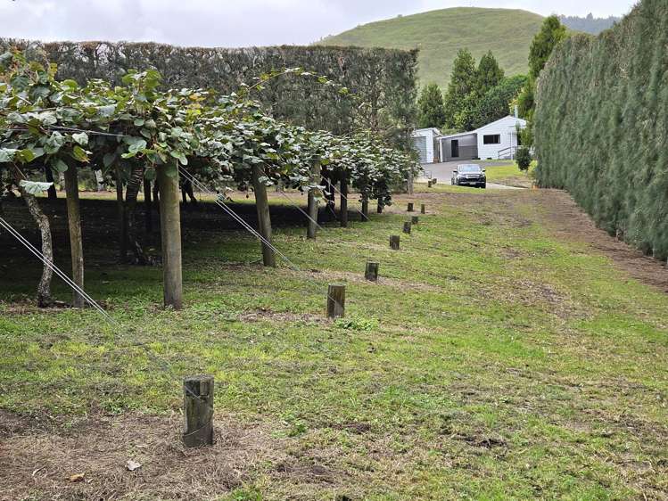 1395 No 3 Road Te Puke_11