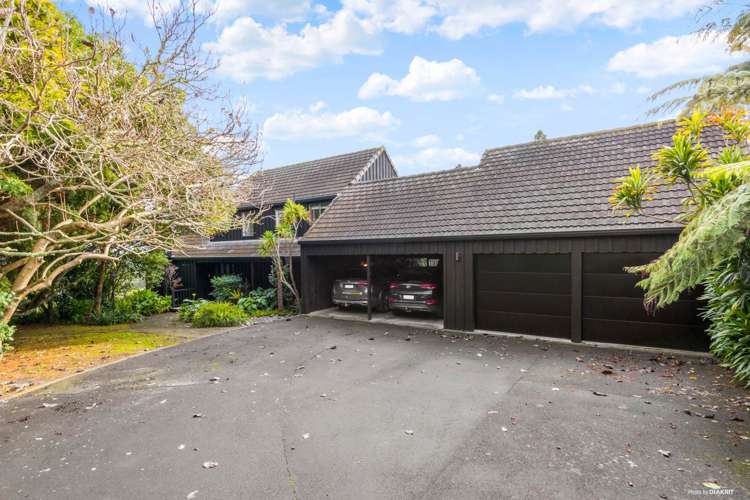 212 Ara-Kotinga Whitford_31