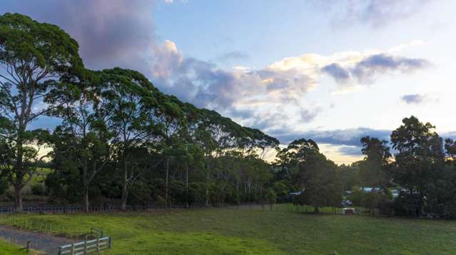 321 Tuhimata Road Drury_3