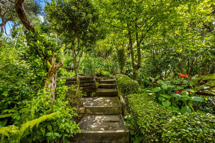 66 Piha Road Piha_45