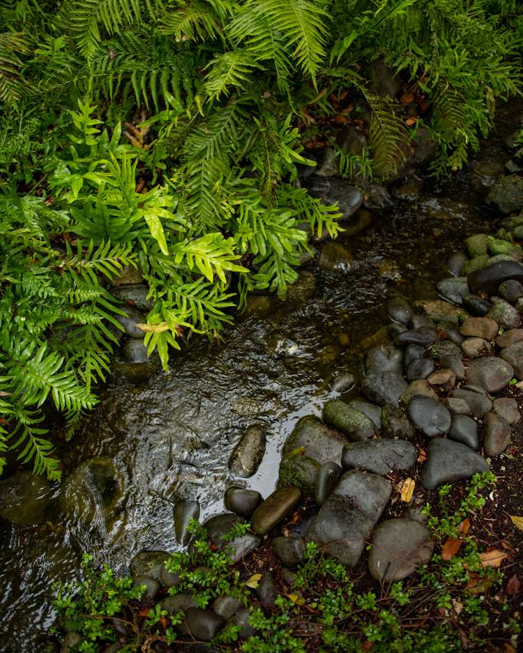 239 Redwood Street Witherlea_37