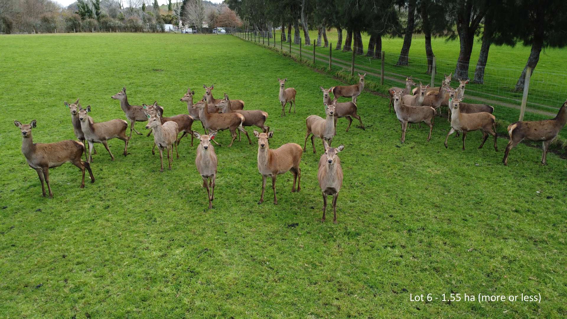 Lot 6 Tarukenga Road Ngongotaha Valley_0