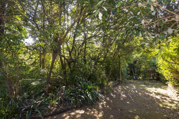 97 Seabrook Avenue New Lynn_22