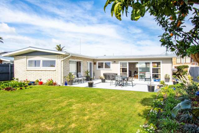 23 Vine Avenue Maungatapu_4