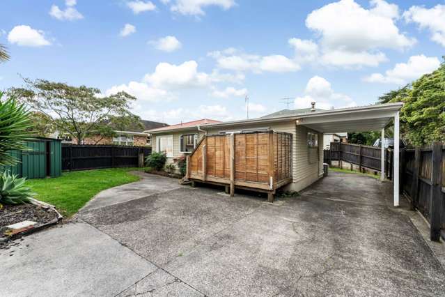 54 Andrew Road Howick_1