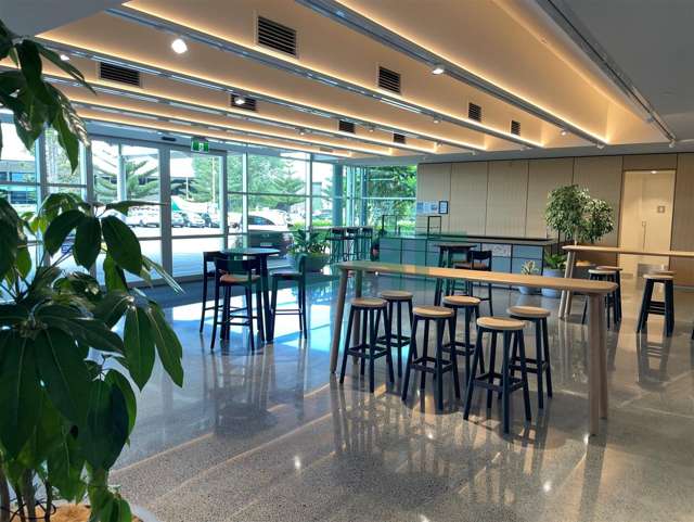 31 Highbrook Drive East Tamaki_2