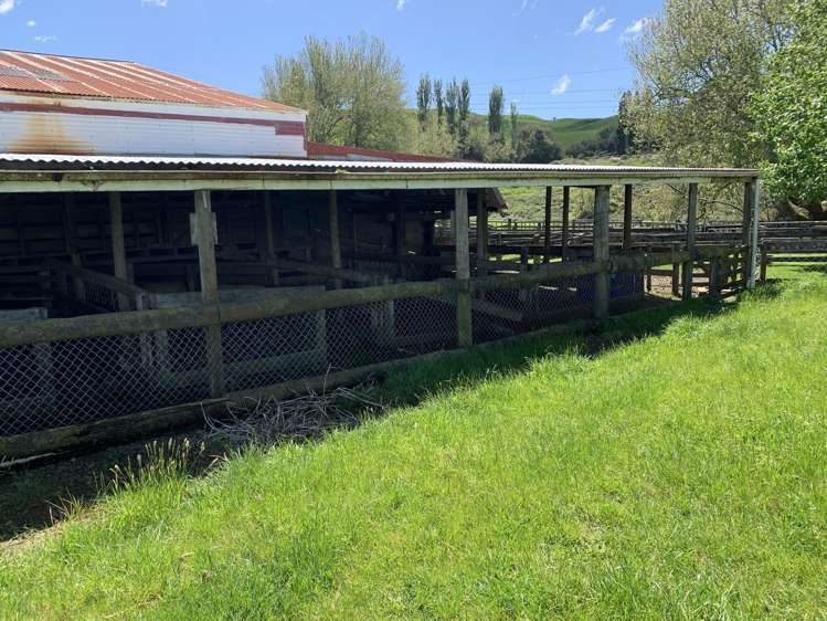 2896 State Highway 3 Awakino_39
