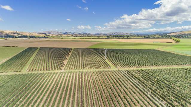 Johner Estate, Wairarapa