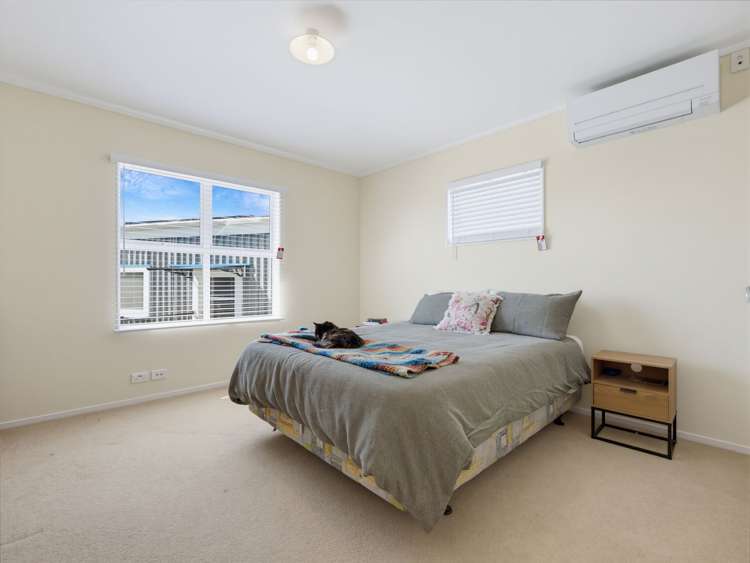 16 Hydro Road Edgecumbe_10