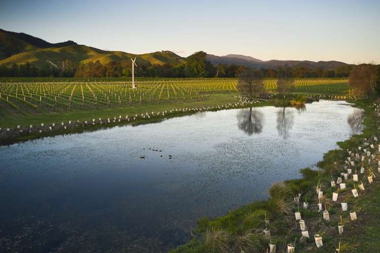 212 Selmes Road Rapaura_7