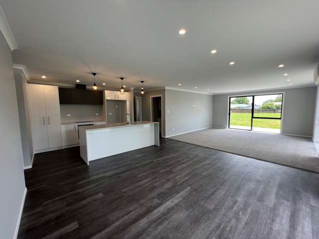 10 Sanson Place Levin_3