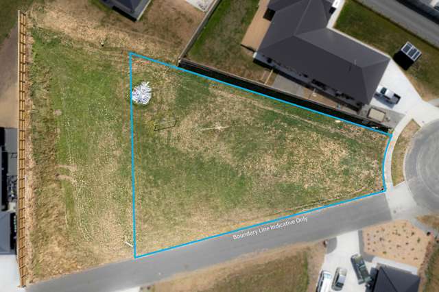 36 George Street Bulls_1