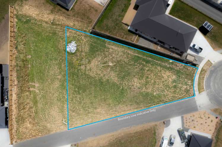 36 George Street Bulls_1