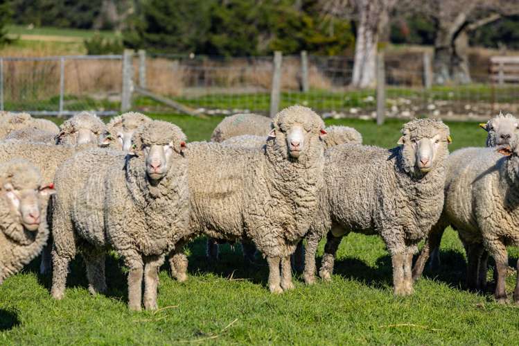 7611 State Highway 1 Ward_16