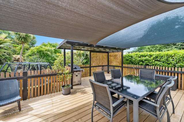 17 Tihi Road Springfield_2