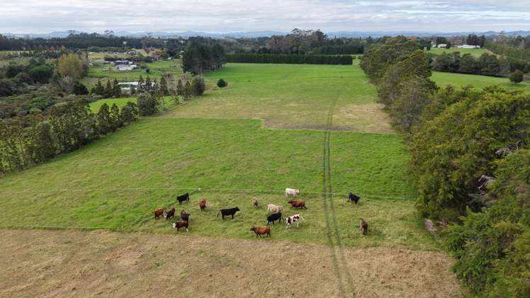Lot 14 Ness Road Waipapa_9