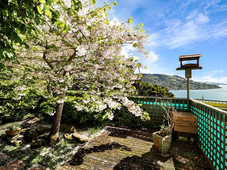 35 Coolock Crescent Waverley_17