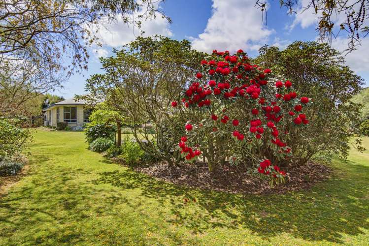 34 Gordon Place Levin_22