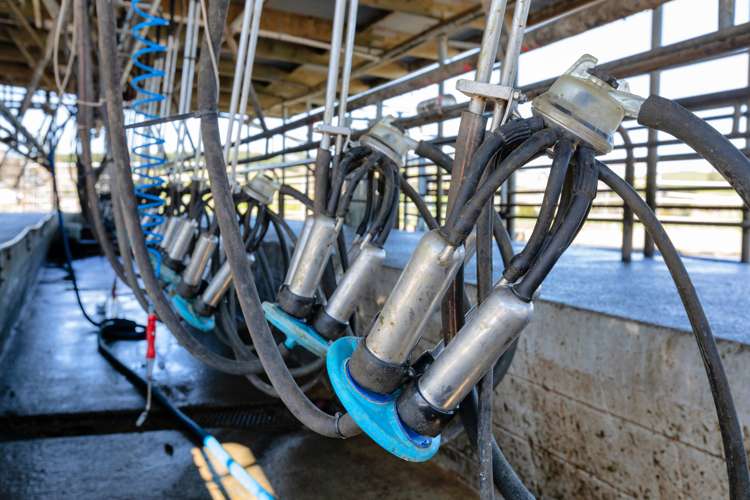 400 Partridge Road Wellsford_9