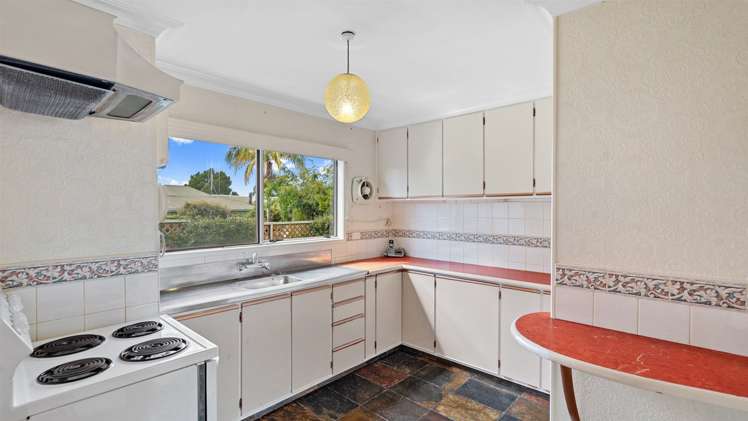 62 Harrier Street Parkvale_7