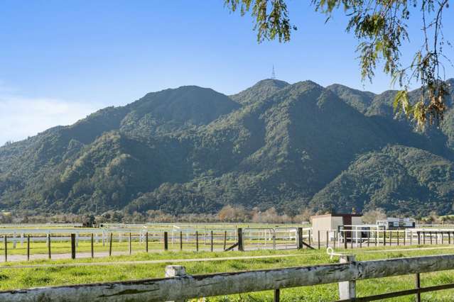 52 Racecourse Road Te Aroha_3