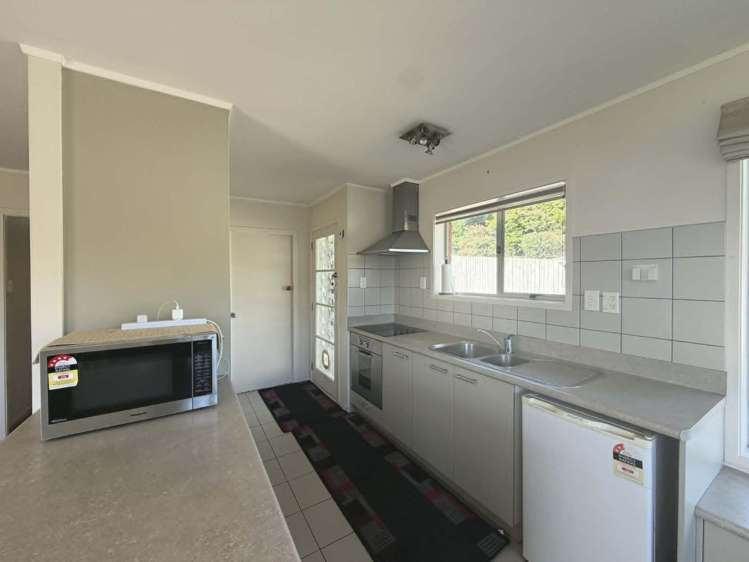 17 Heaphy Street 2169_7