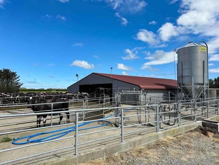 296 Oporo Flat Road Oporo_15