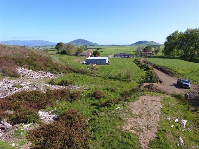 Tiny Home Haven in Popular Location