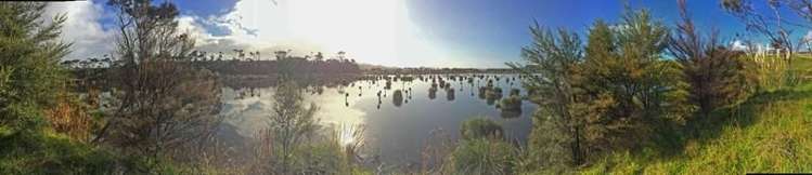 38b Kaipara Lake Road South Head_5