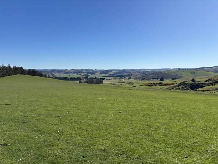 Waihola Highway Waihola_8