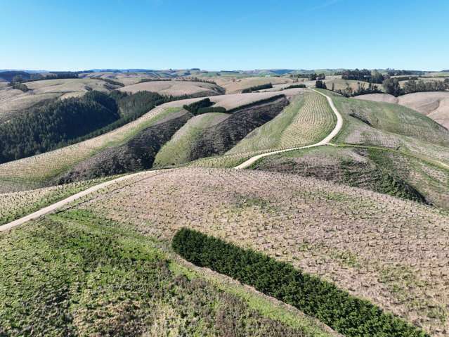 174 McCulloch Road Awamangu_4