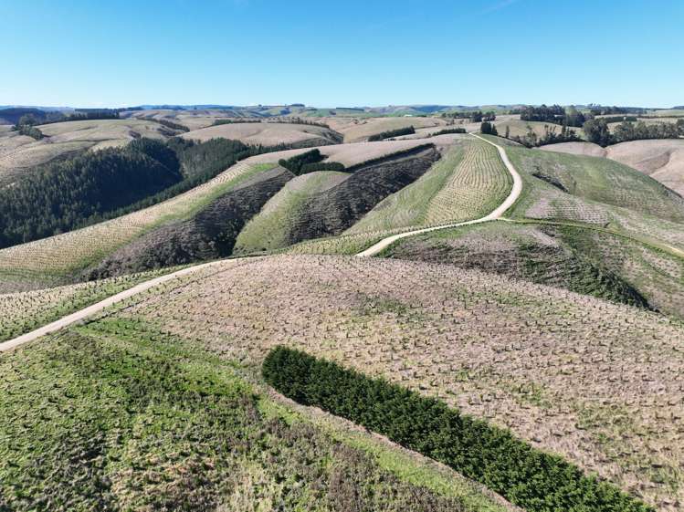 174 McCulloch Road Awamangu_4