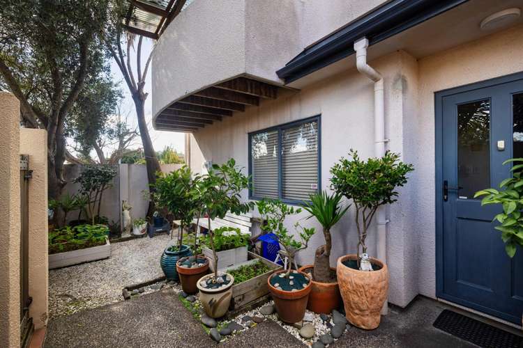 103A Saint Lukes Road Mount Albert_13