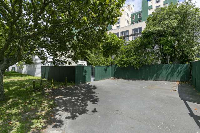 104 Webb Street Te Aro_1